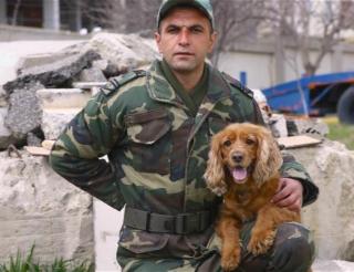 Кокер-спаниель из Азербайджана Джуна помогла спасти трёх человек